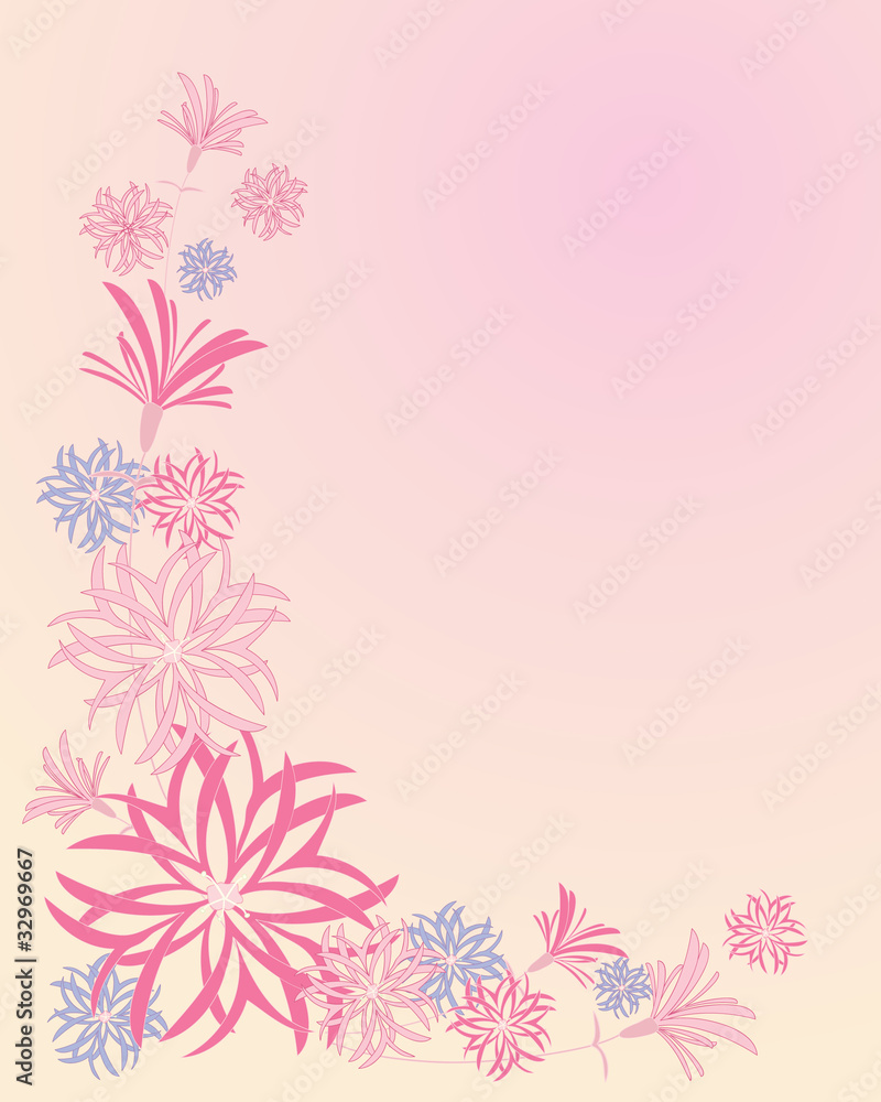 ragged robin ragged robin