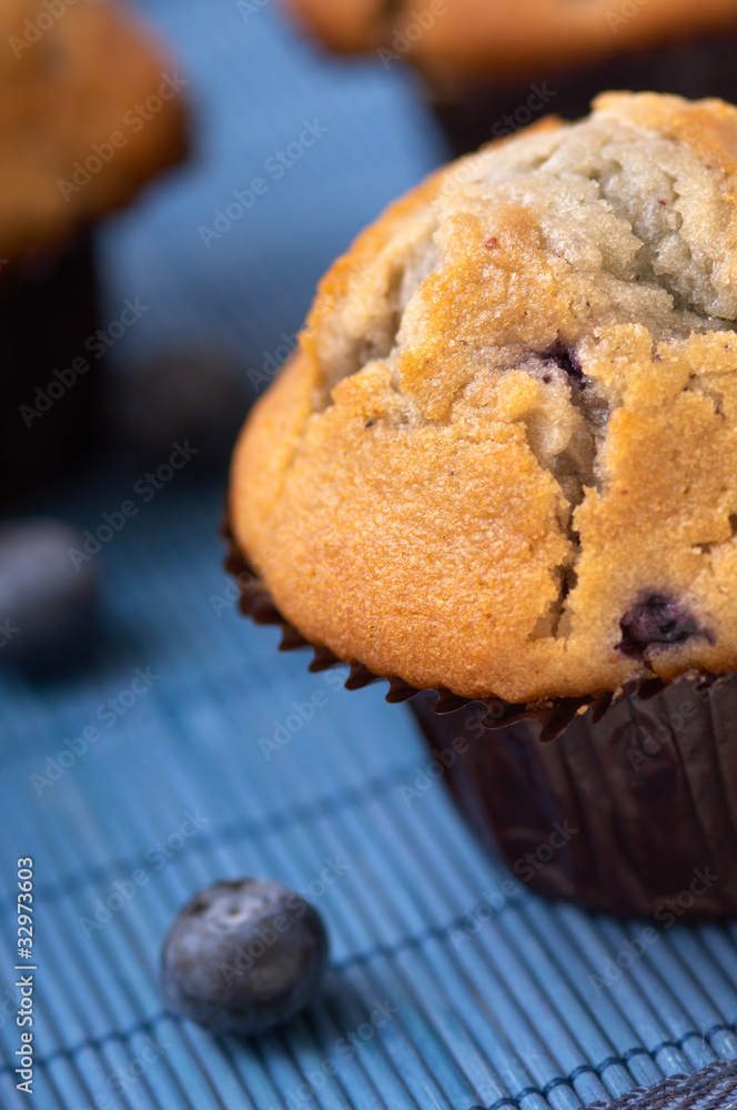 blueberry muffin blueberry muffin