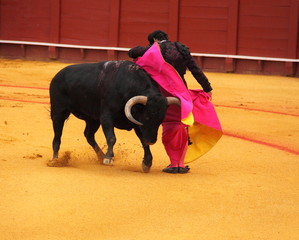 Poster Stierenvechten Matador met gele cape en stier  © Marco Desscouleurs