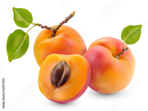 Apricot with leaves