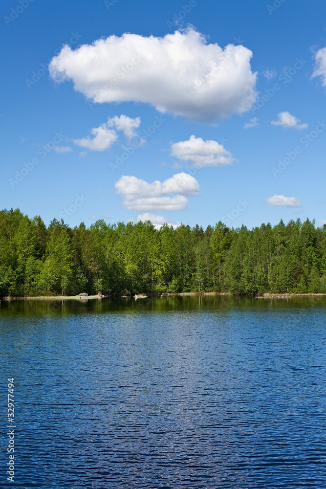 Forests tranquil lake and evergreen trees on the shore