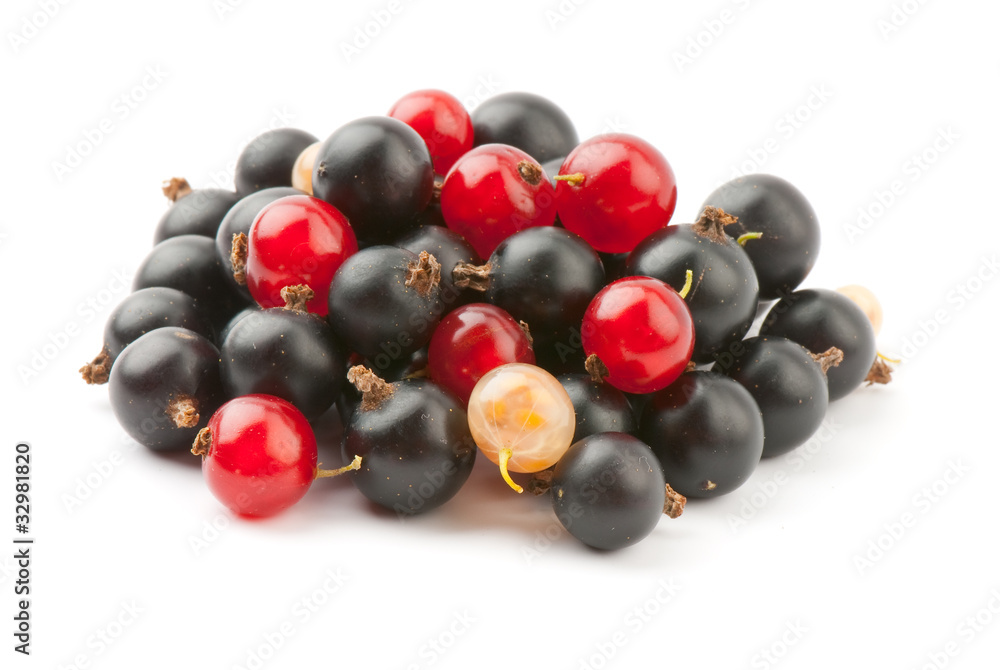 currant