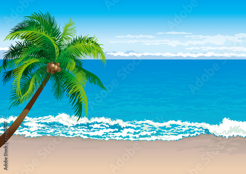 tropical coast