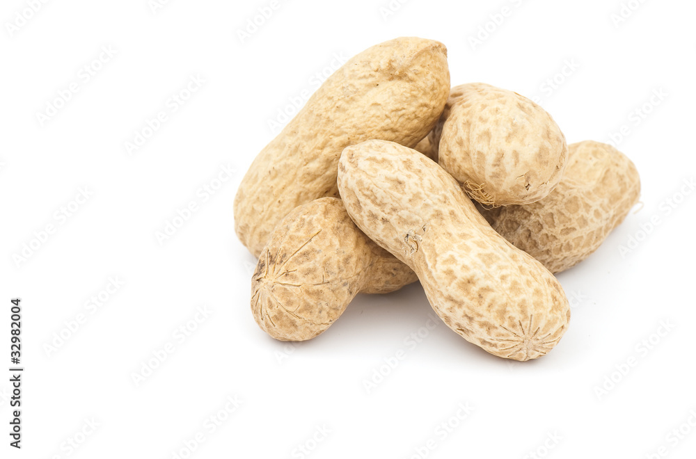 Peanut Peanut