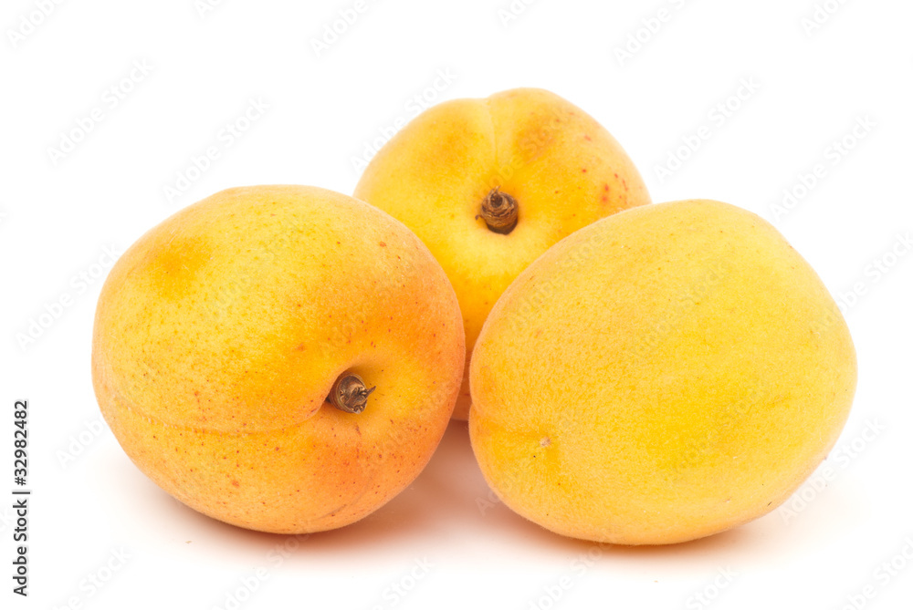 apricot apricot
