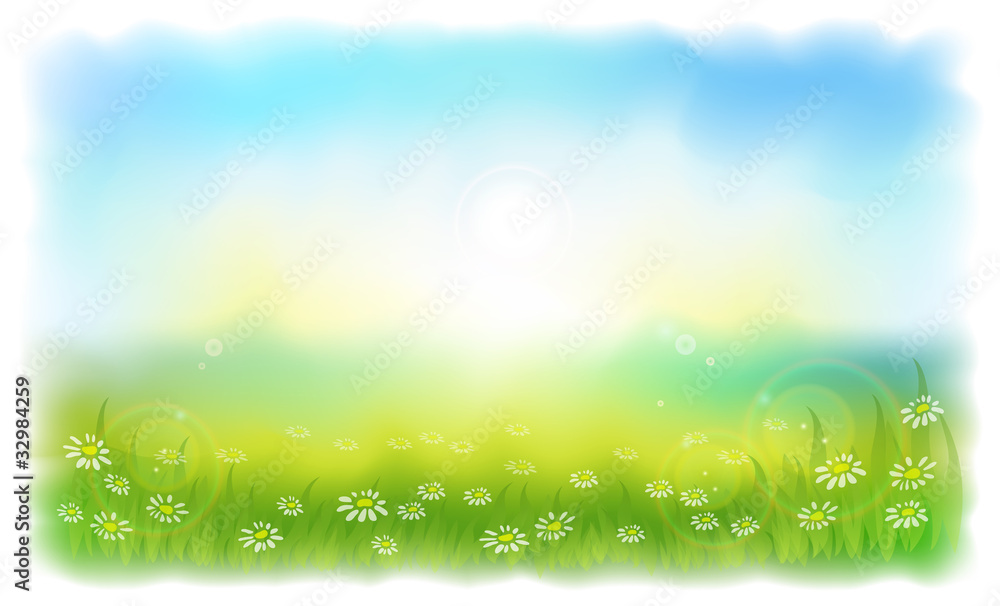 Sun-drenched meadow with daisies. Sunny summer day outdoors. Sun-drenched meadow with daisies. Sunny summer day outdoors.