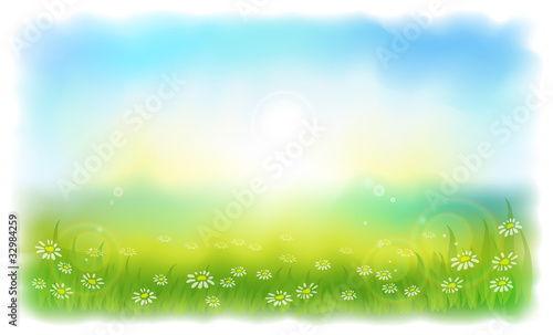 Sun-drenched meadow with daisies. Sunny summer day outdoors.