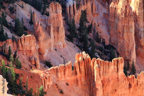 view of Bryce Canyon track with bright red ground