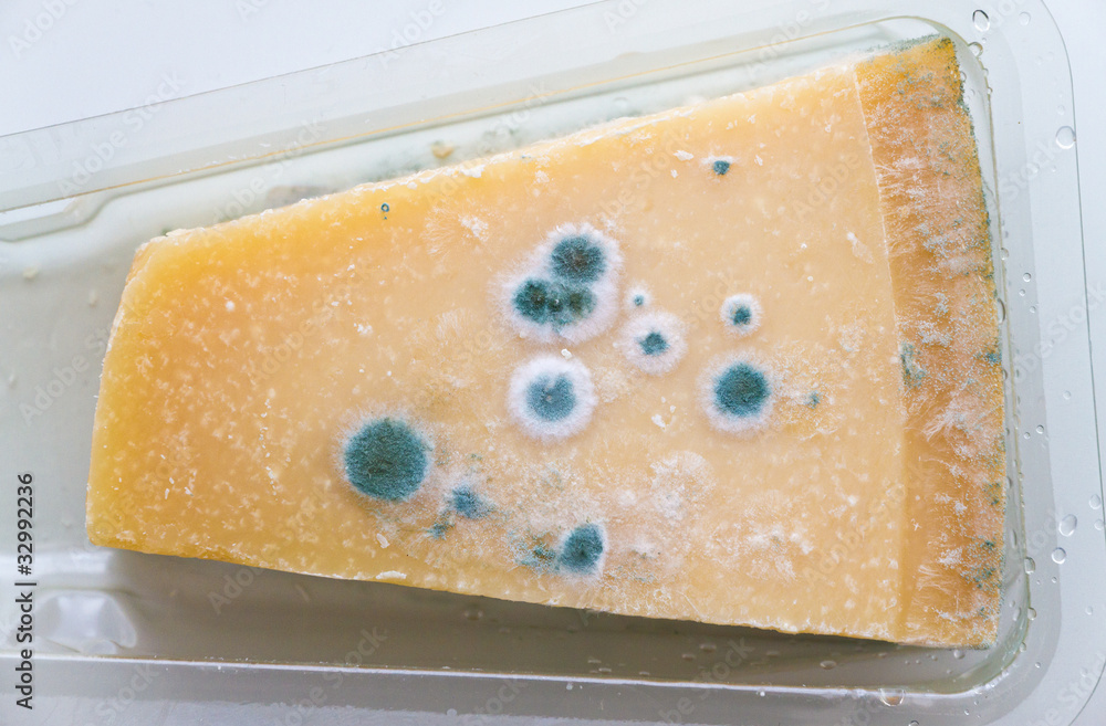 Schimmel auf einem Stück Käse foto de Stock Adobe Stock