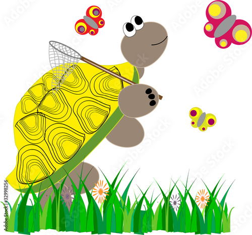 Summer turtle