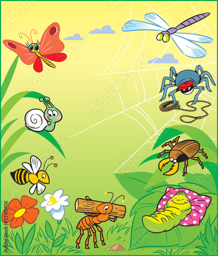 Funny Insect