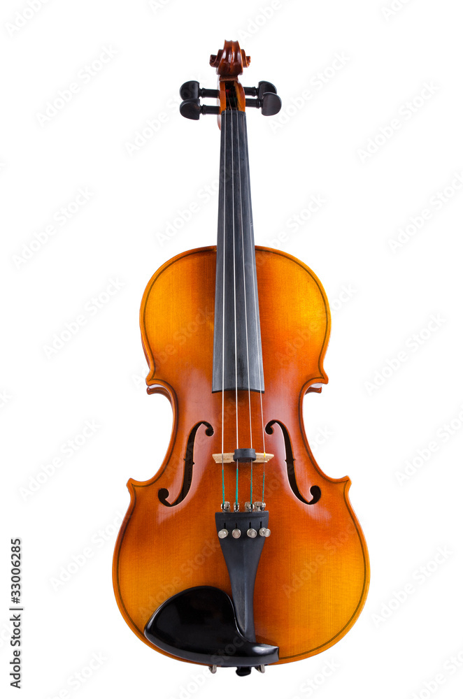 Fototapeta premium Violin