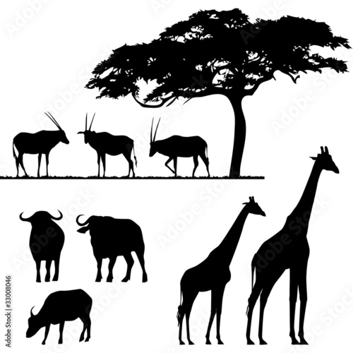 African animals  vector silhouettes