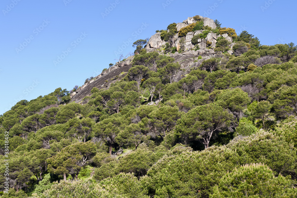 Cerro del Castrejón