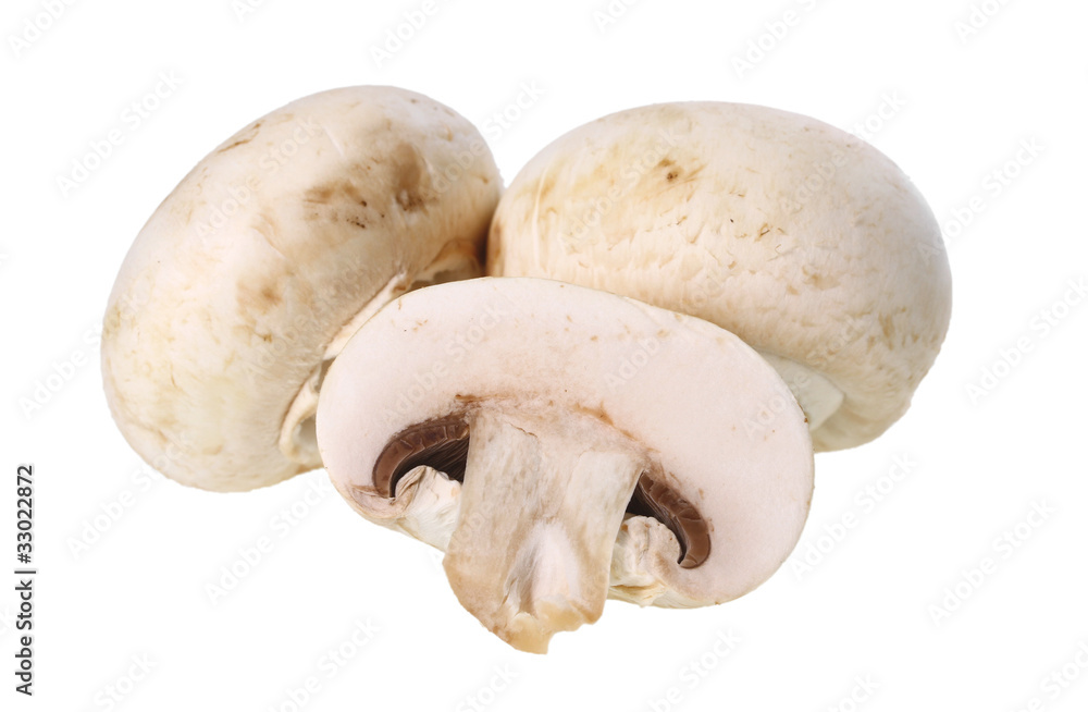 Champignon freigestellt Champignon freigestellt