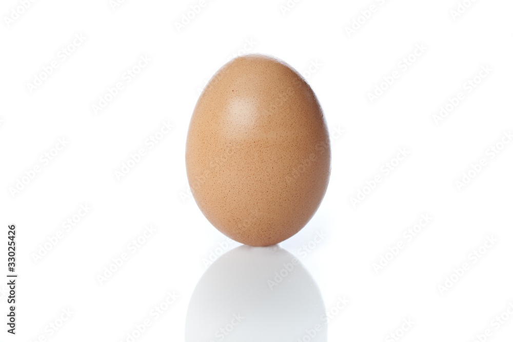 A brown egg A brown egg