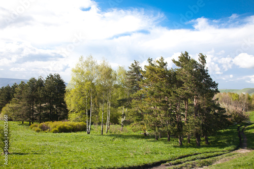 Wallpaper Mural Field, Forest and Sky Landscape.    Suitable for Backgrounds. Torontodigital.ca