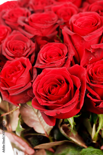 beautiful roses