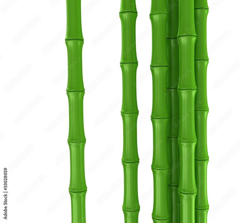 Obraz premium bamboo stem