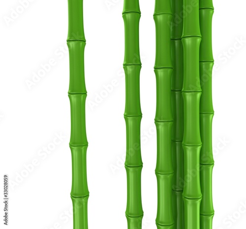 bamboo stem