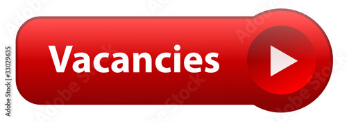 "VACANCIES" Web Button (careers job offers seeking jobs search)