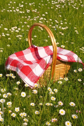 picnic basket