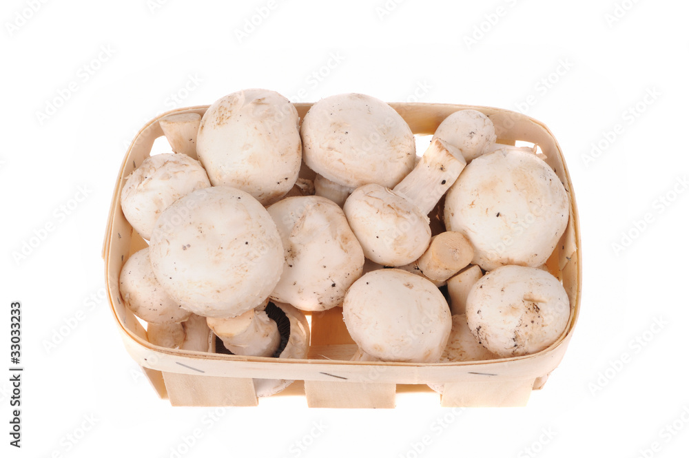 mushrooms in the basket isolated on the white background mushrooms in the basket isolated on the white background