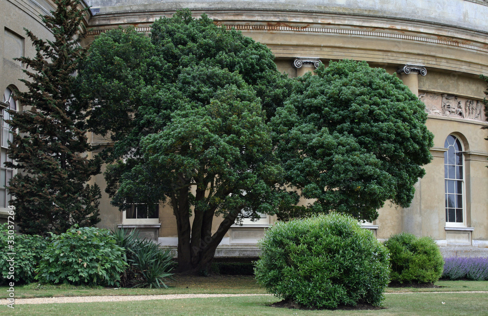 Obraz premium Ickworth House 9