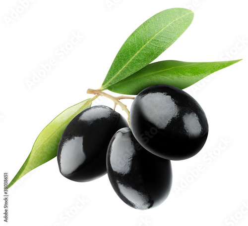 Isolated olives. Three black olive fruits on a branch with leaves isolated on white background