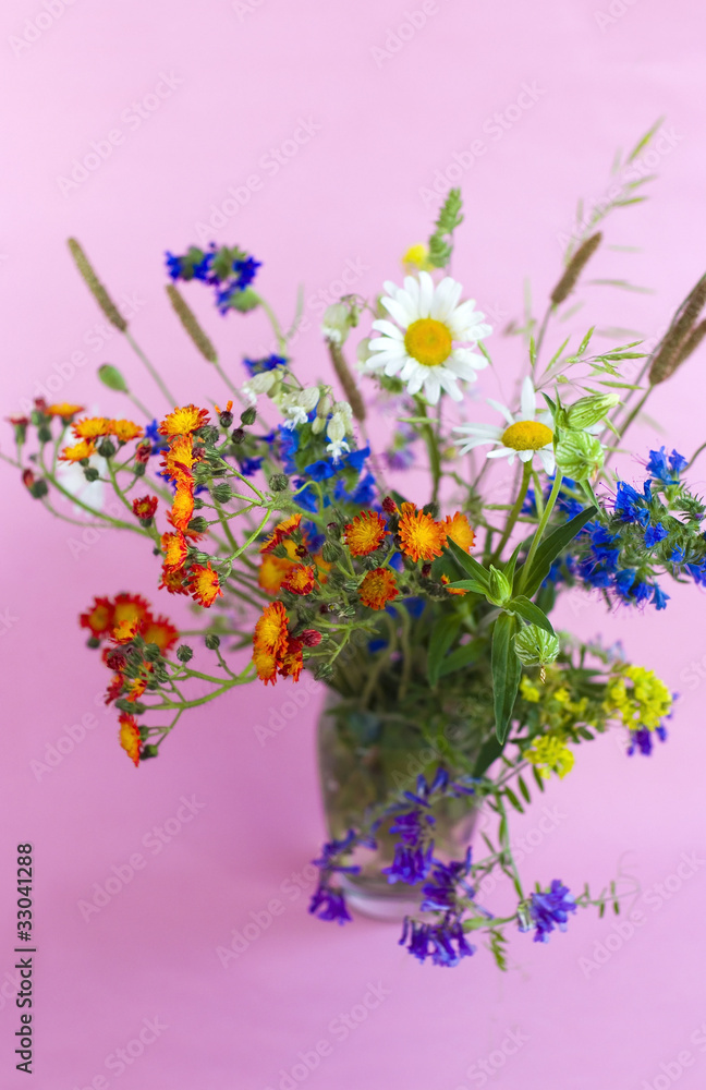 wild flowers on a blue background