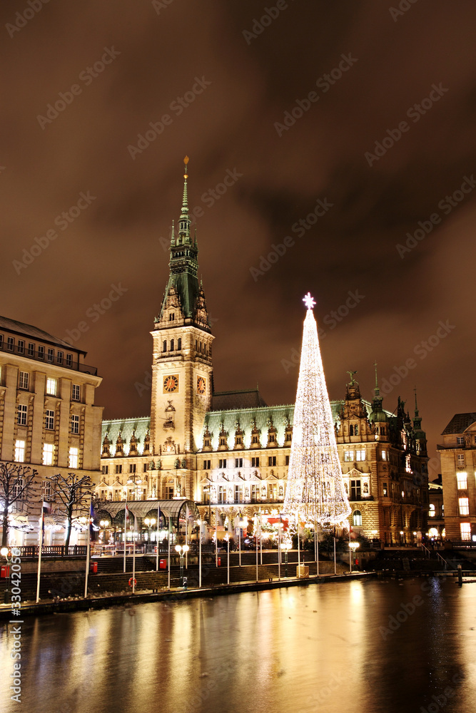 Obraz premium Weihnachtsmarkt Hamburg am Rathausmarkt