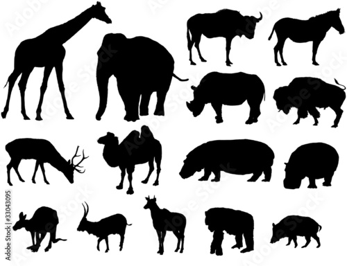 Grandes Herbivoros