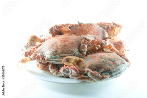 crab © Dontree