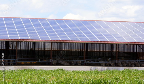 Ferme solaire, centrale solaire, agriculture durable, élevage