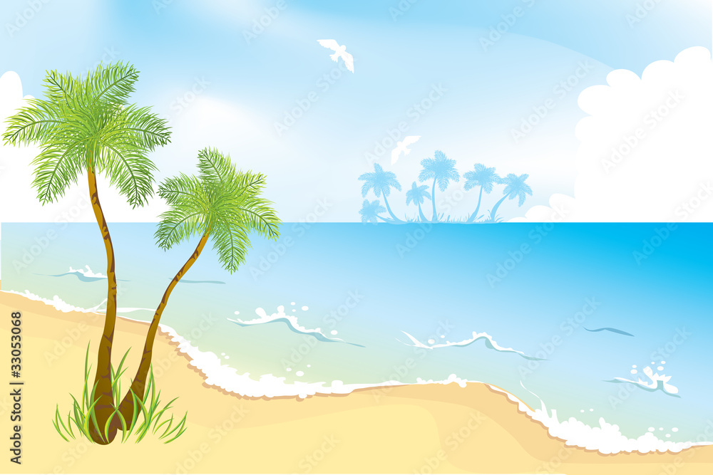 Ocean coast with palms