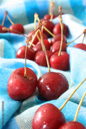 cerises photo