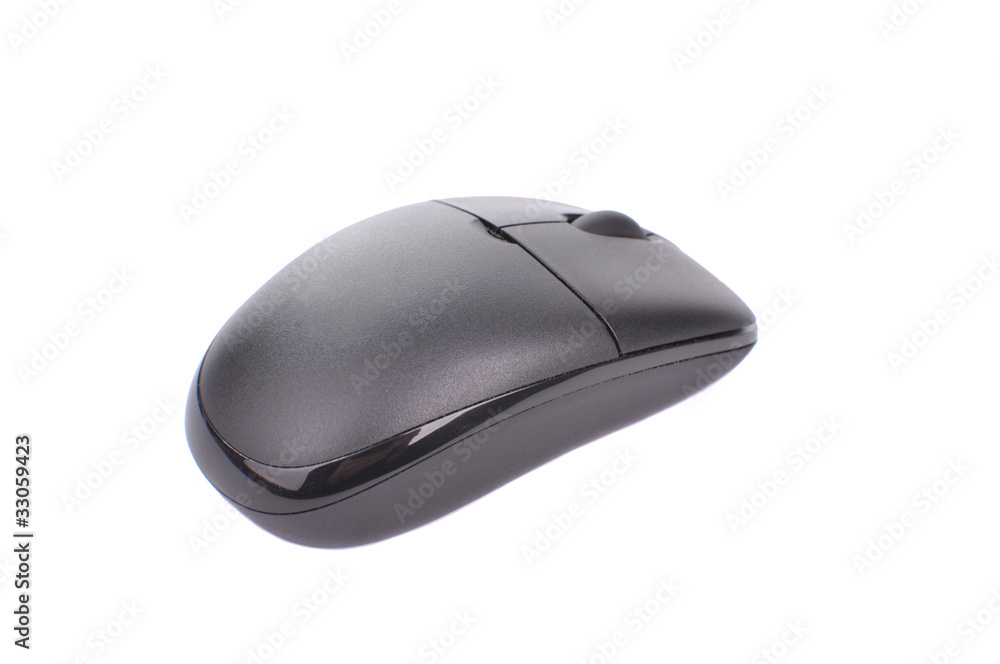 Computer Mouse