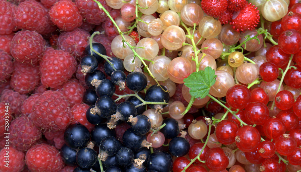 Framboises Groseilles Cassis Fraises Photos Adobe Stock