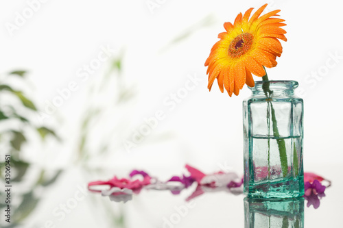Orange gerbera in a glass flask with pink petals and leaves