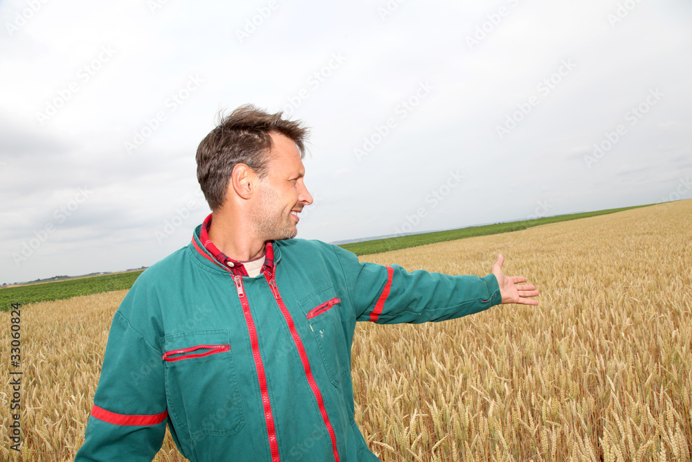 Farmer showing wheat field in spring season