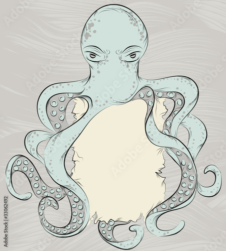 Hand drawn detailed octopus illustration