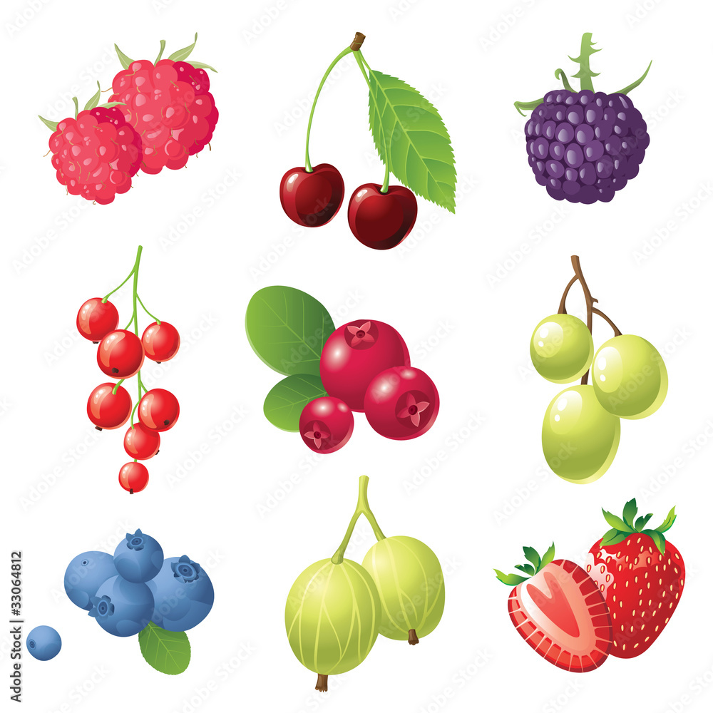 berries icons set berries icons set
