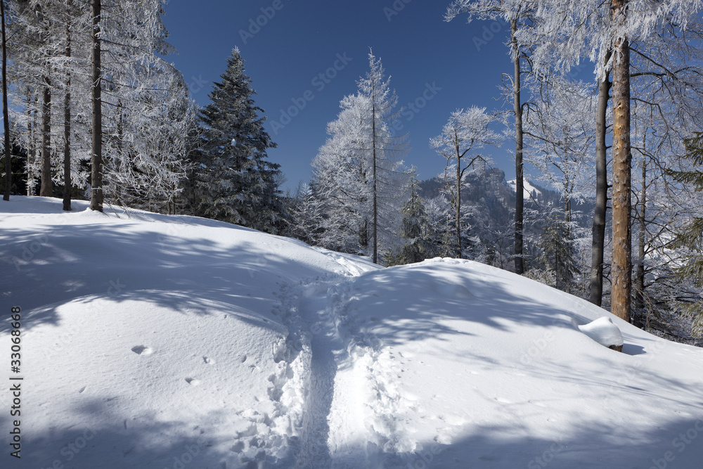 Obraz premium Schneelandschaft im Alpstein
