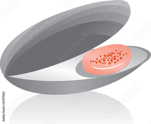cockle