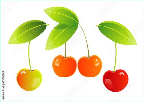 fruit