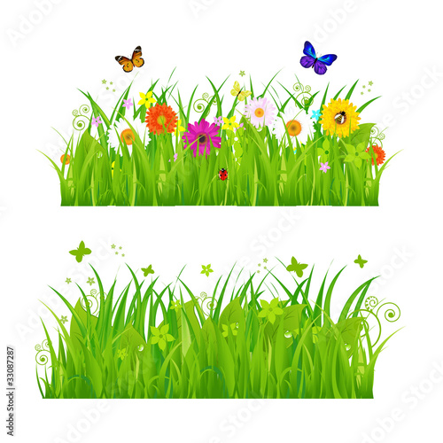 Fototapeta Naklejka Na Ścianę i Meble -  Green Grass With Flowers And Insects