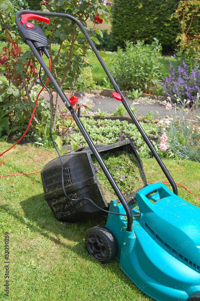 Fototapeta premium grass cuttings