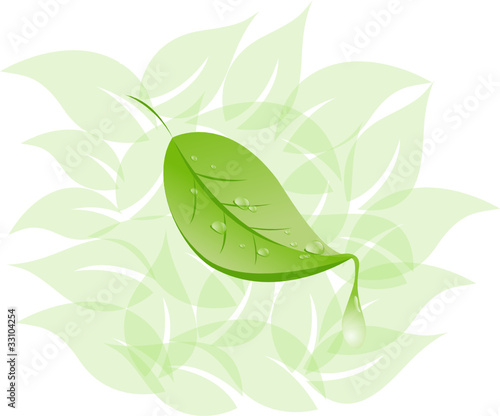 blatt mit tau