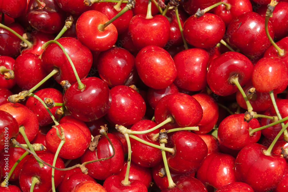 cherry cherry