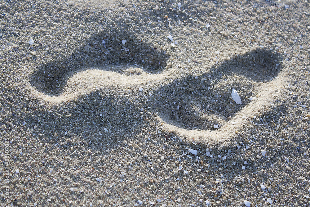 Obraz premium Huellas